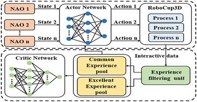 A parallel heterogeneous policy deep reinforcement learning algorithm for bipedal walking motion design